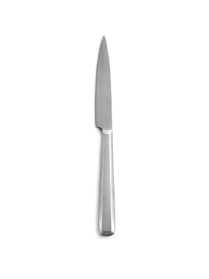 TABLE KNIFE L23,9 x W1,9 CM ZOË MATT